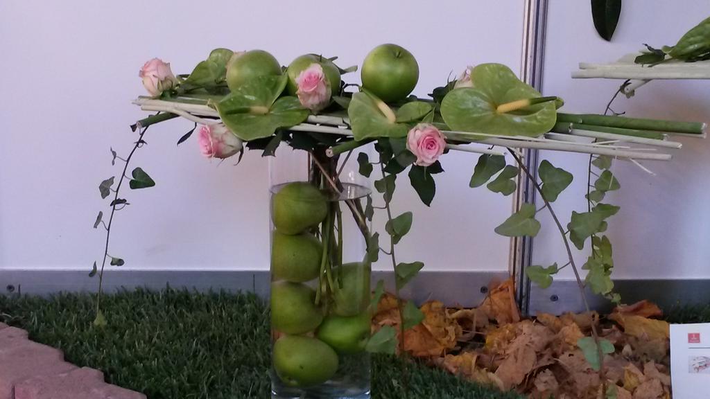 agrisapori's tweet photo. #mele #nonsolodamangiare a @tuttomele @tuttomelcin @agrisapori https://t.co/PVvYWcf3td