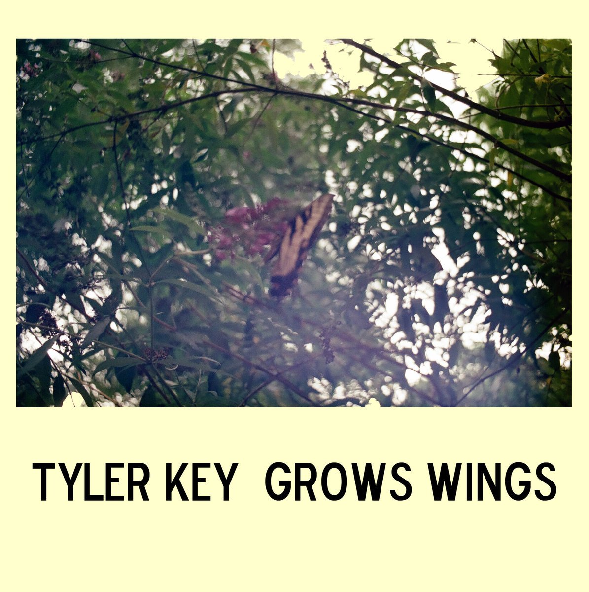 Various Small Flames tweet media