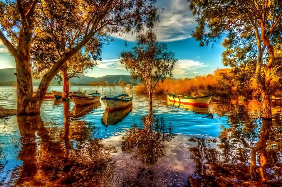 Kolyan Boev (@kolyanboev) on Twitter photo 