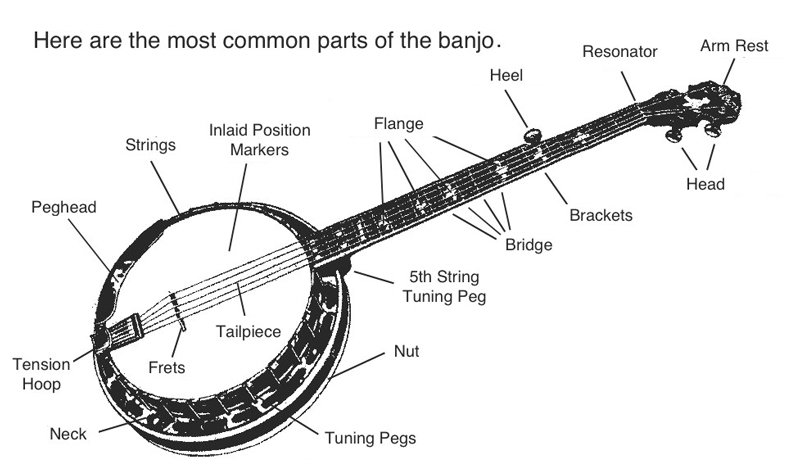 Difference between guitar and banjo (Guitar vs banjo)