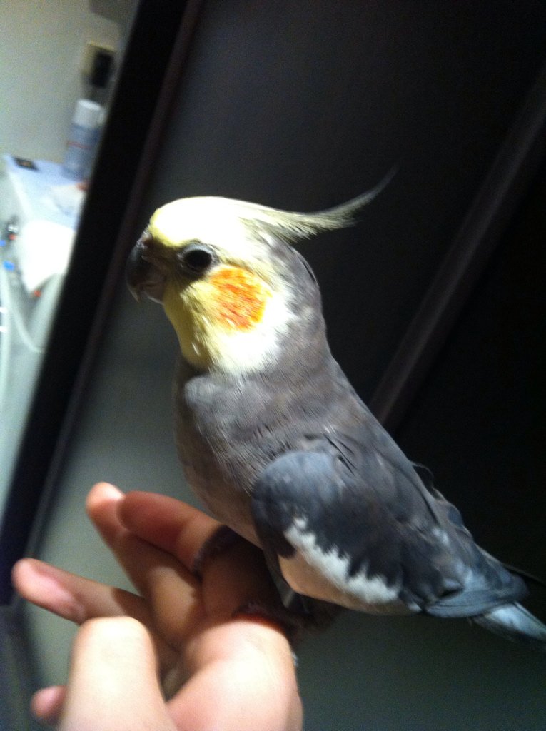 FlySurTwitteur's tweet photo. Bonchoir :3 ! https://t.co/CKxSXITDPy