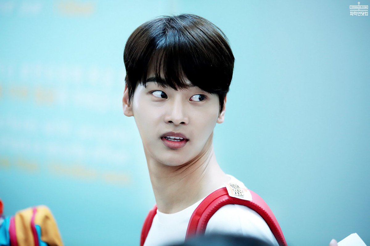 차학연닷컴 tweet media