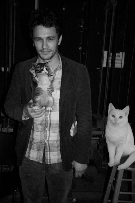 timelessbae's tweet photo. James Franco &amp; Cats https://t.co/GyLnAMI0rK
