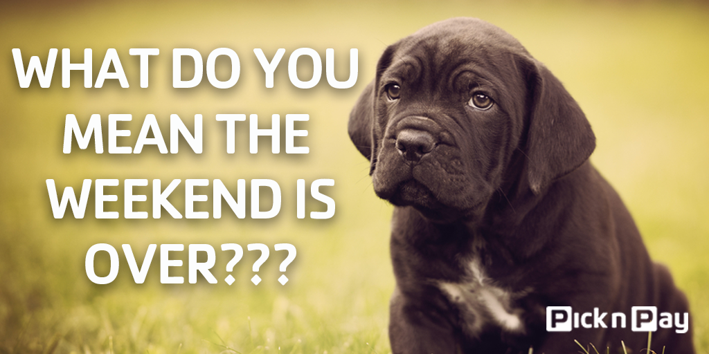 PicknPay's tweet photo. What do you mean the weekend is over??? :( https://t.co/tCwPz8sOfj