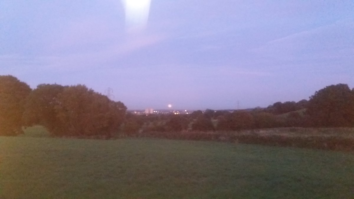 Paula Godfree tweet media