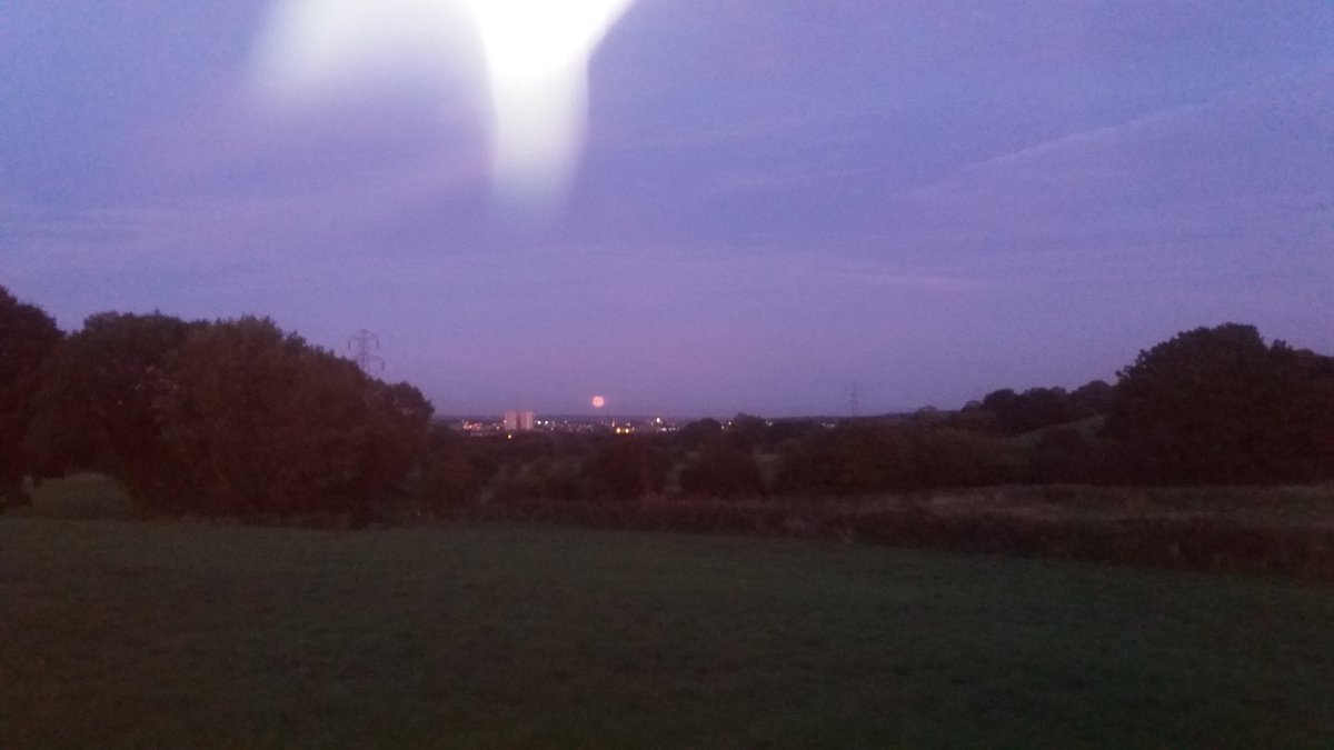 Paula Godfree tweet media