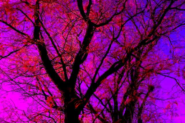 brossard_gaby's tweet photo. #lovewintertrees #secondofmany #longwinter #nocolou_in_landscapes
#fictionphoto #GabyBrossard #mystyle https://t.co/HgLAnBgdS3