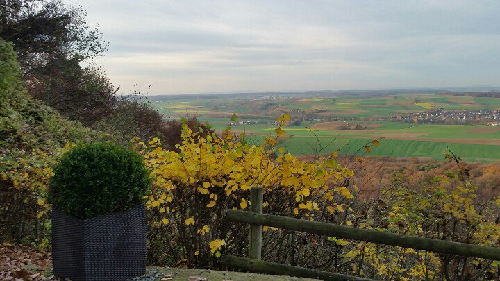 Teutschland's tweet photo. Belohnung für den Aufstieg. #Weissherbst #Wein https://t.co/9NYhTcdkXO