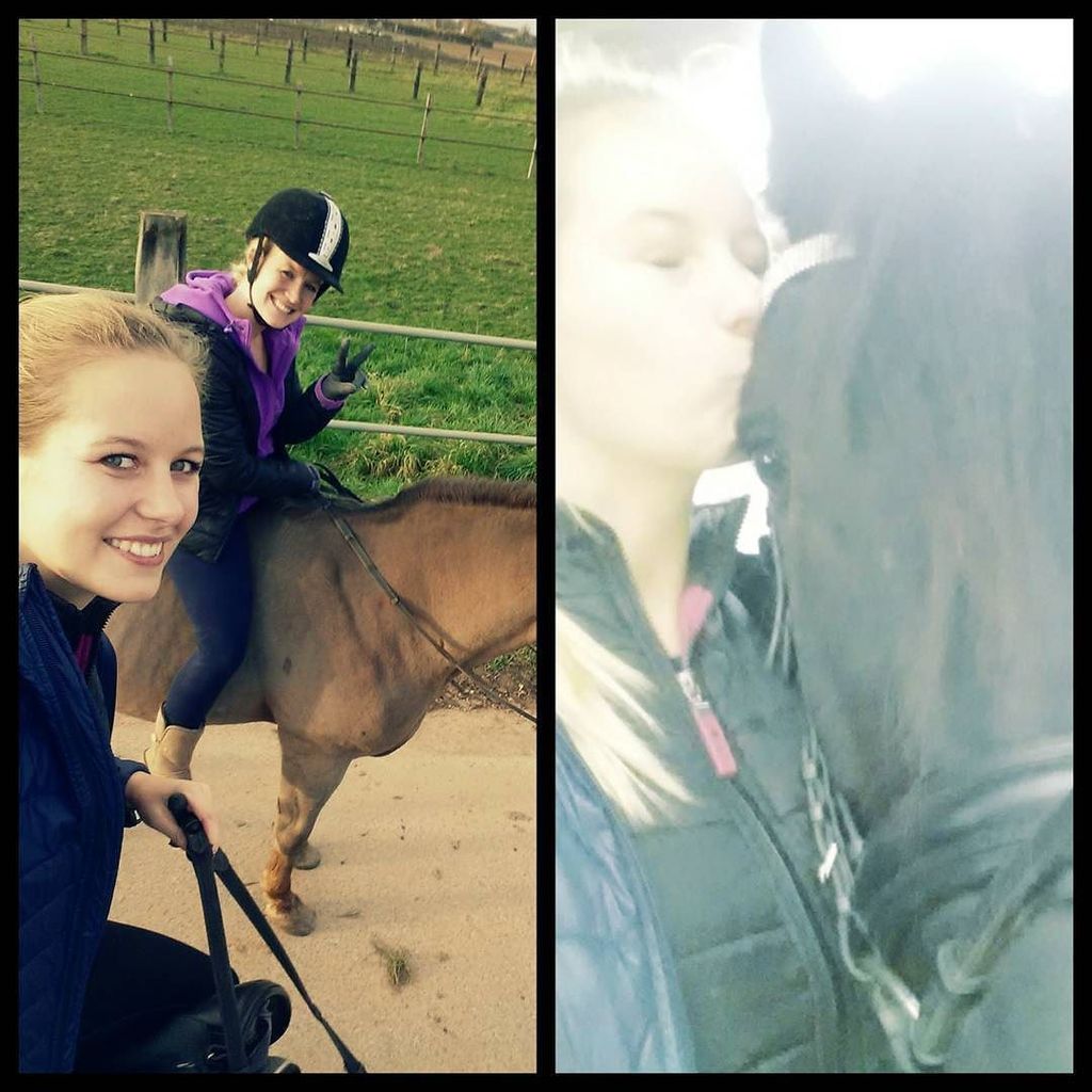 laubhoarst's tweet photo. RT https://t.co/KlrwiSlT3p Post by mai_1904: #sonntagsdate #pferde #doedi #dudelsack #ömi #fella #instahorse #equ… https://t.co/wN2eSRlfnB