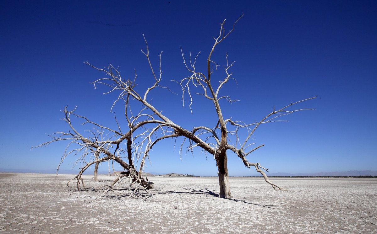 LANow's tweet photo. Restoration work begins on part of Salton Sea https://t.co/0RttXbQuGh https://t.co/2RROCAHcUm