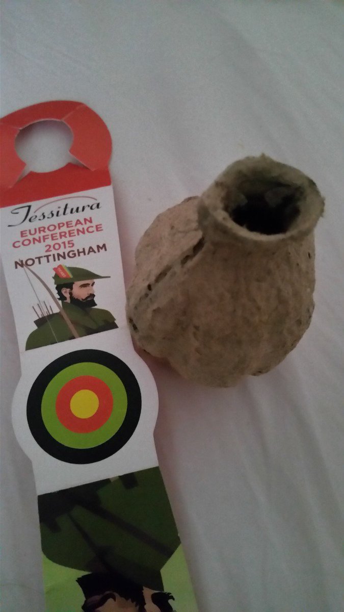rae625's tweet photo. @TECNottingham15 
Coins made it back intact...Unlike Seedbomb. Anyone else with proto-Sherwood in their un-packing? https://t.co/cKIZ8Uwt6I