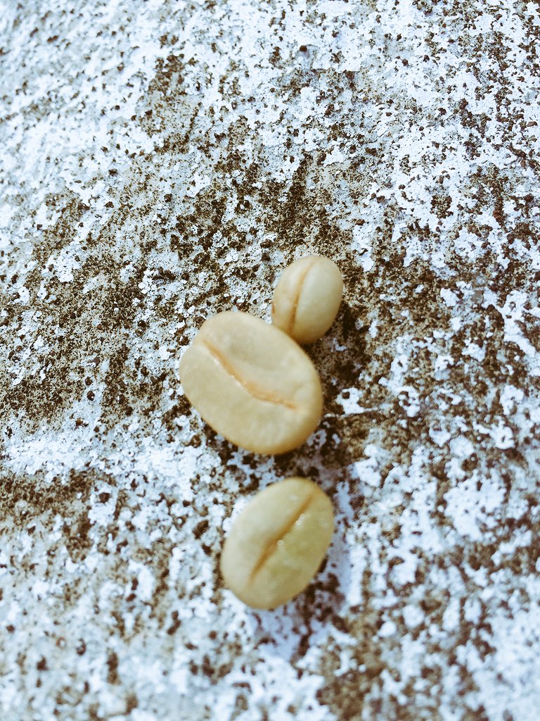 Learn to ask quality and type of coffee! Is an amazing world of flavors to taste! Here 3 types! #coffee #Guatemala