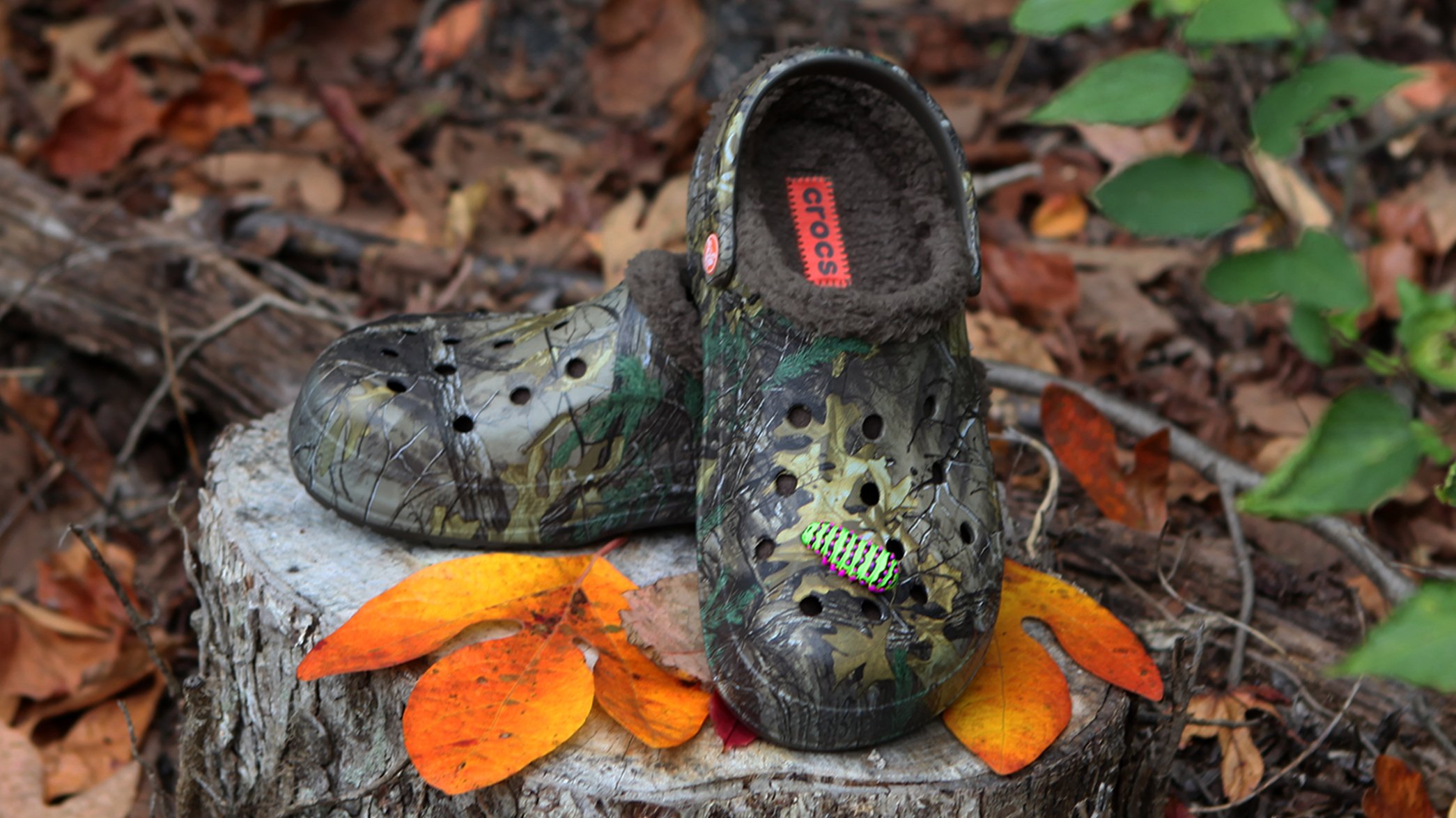 Crocs on X: Here, we observe the wild caterpillar Jibbitz in its natural  habitat.  / X