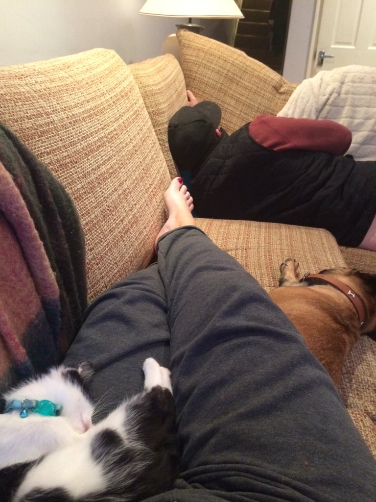 medders85's tweet photo. All three boys asleep = lovely quiet Sunday https://t.co/pbAjRuhp2q