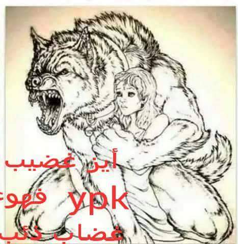 kazım (@polat_kazm) on Twitter photo 