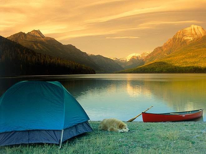 pioneertalk's tweet photo. Will be adding these to the dream campsite list! https://t.co/k7xbQedPS0 #pioneerinspiration #camping #epicoutdoors https://t.co/lmlvctNZ3F