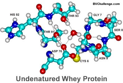 ThePackLive's tweet photo. What is #undenatured and #denatured #whey #protein? https://t.co/Hh0MyZPDbq #yahsuccessblog #bvstaged https://t.co/z8EpMZCQe0