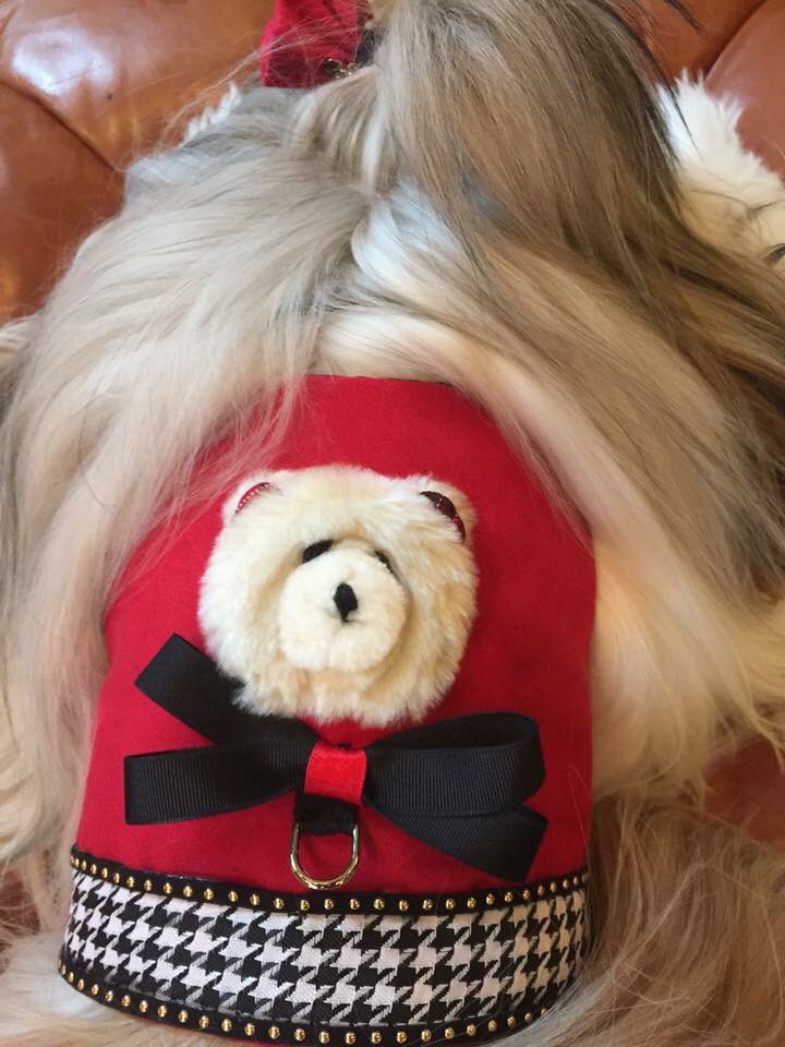 Fuzzy Wuzzy Bear harness #doggyfriends #yorkie #Shihtzu #maltese #petfashionistas