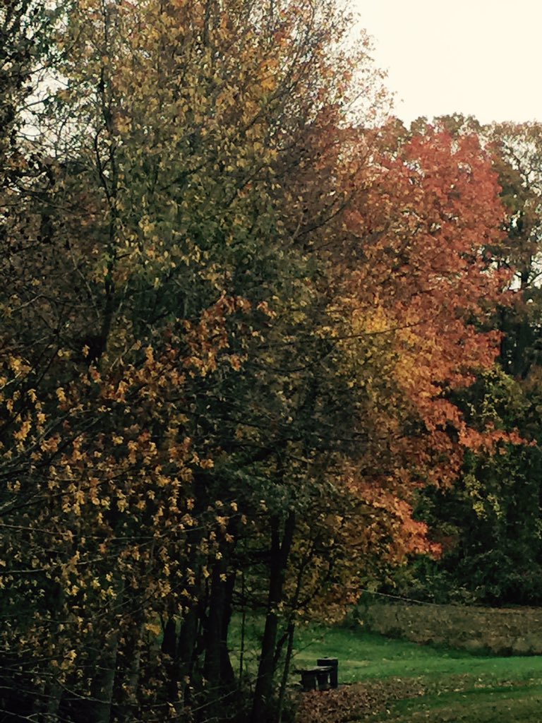 Artist_InMe's tweet photo. #BeautyinNature always go for sustainability. https://t.co/PTjLkFYD2S