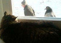 Невероятные приключения мужика и гигантского