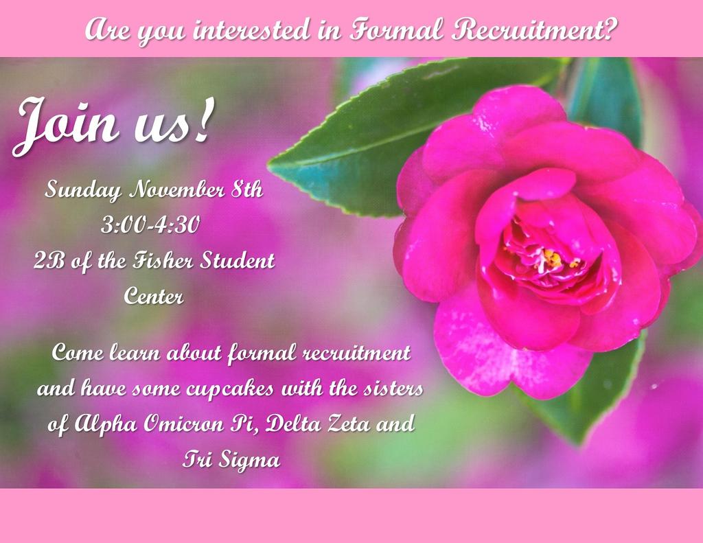 Interested in joining a sorority at Bryant? 
Join us in room 2B at 3pm today to learn more about formal recruitment!