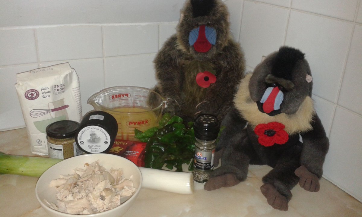 Artie's pie recipe is based on one he found on BBC GoodFoodShow website & we really like it #BaboonsThatCook