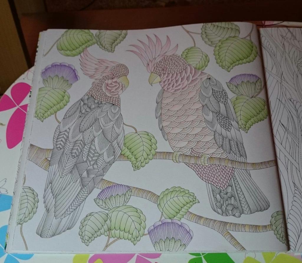 annahawk81's tweet image. #tropicalwonderland