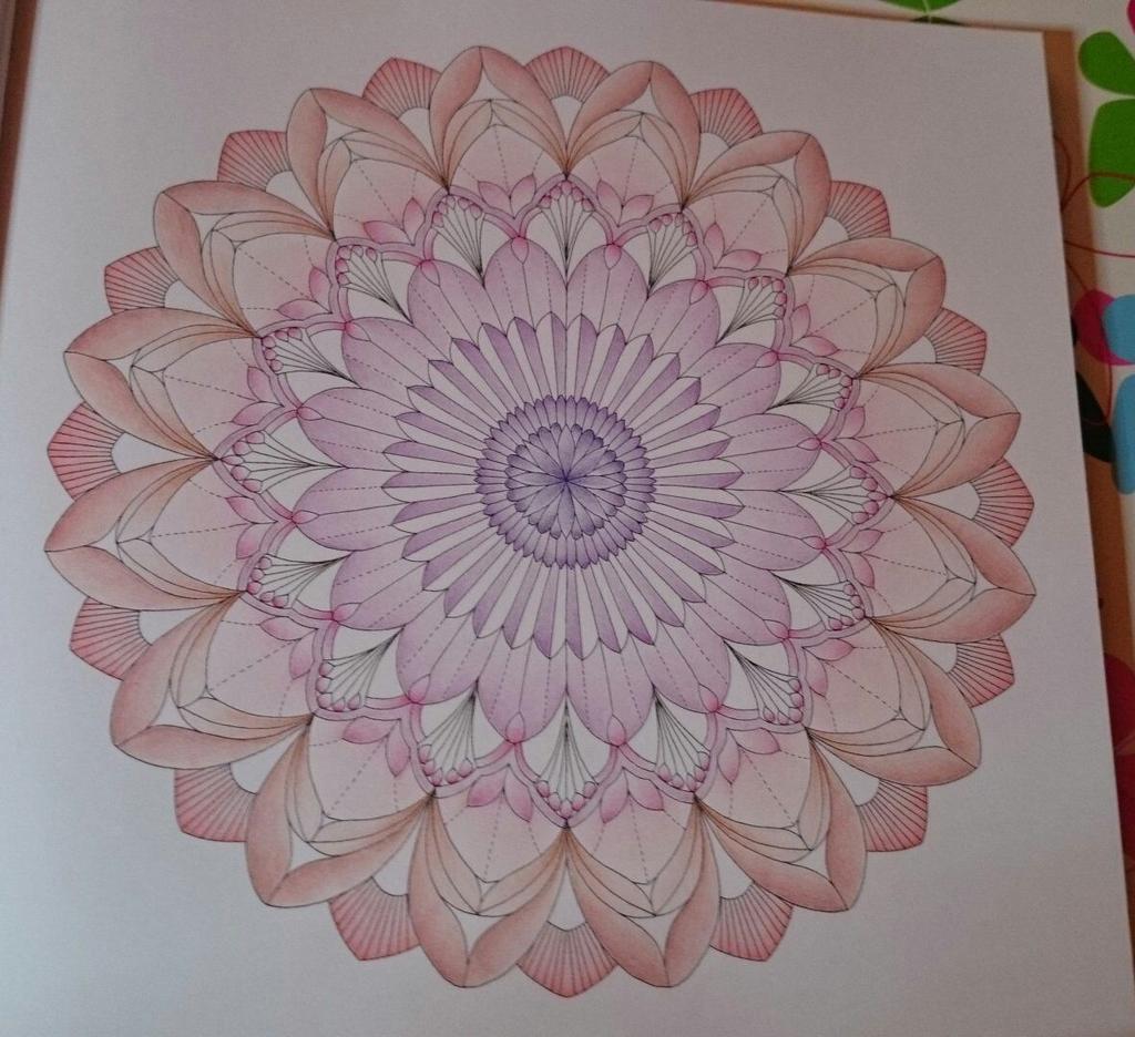 annahawk81's tweet image. #tropicalwonderland