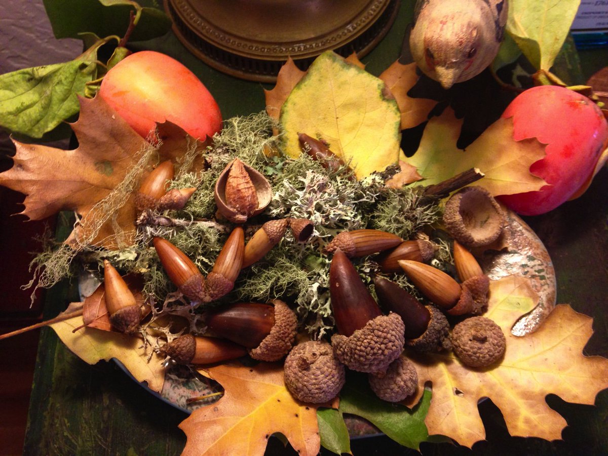 Who can resist the autumn windfalls? I love making “bowls” of these beauties. Happy day!