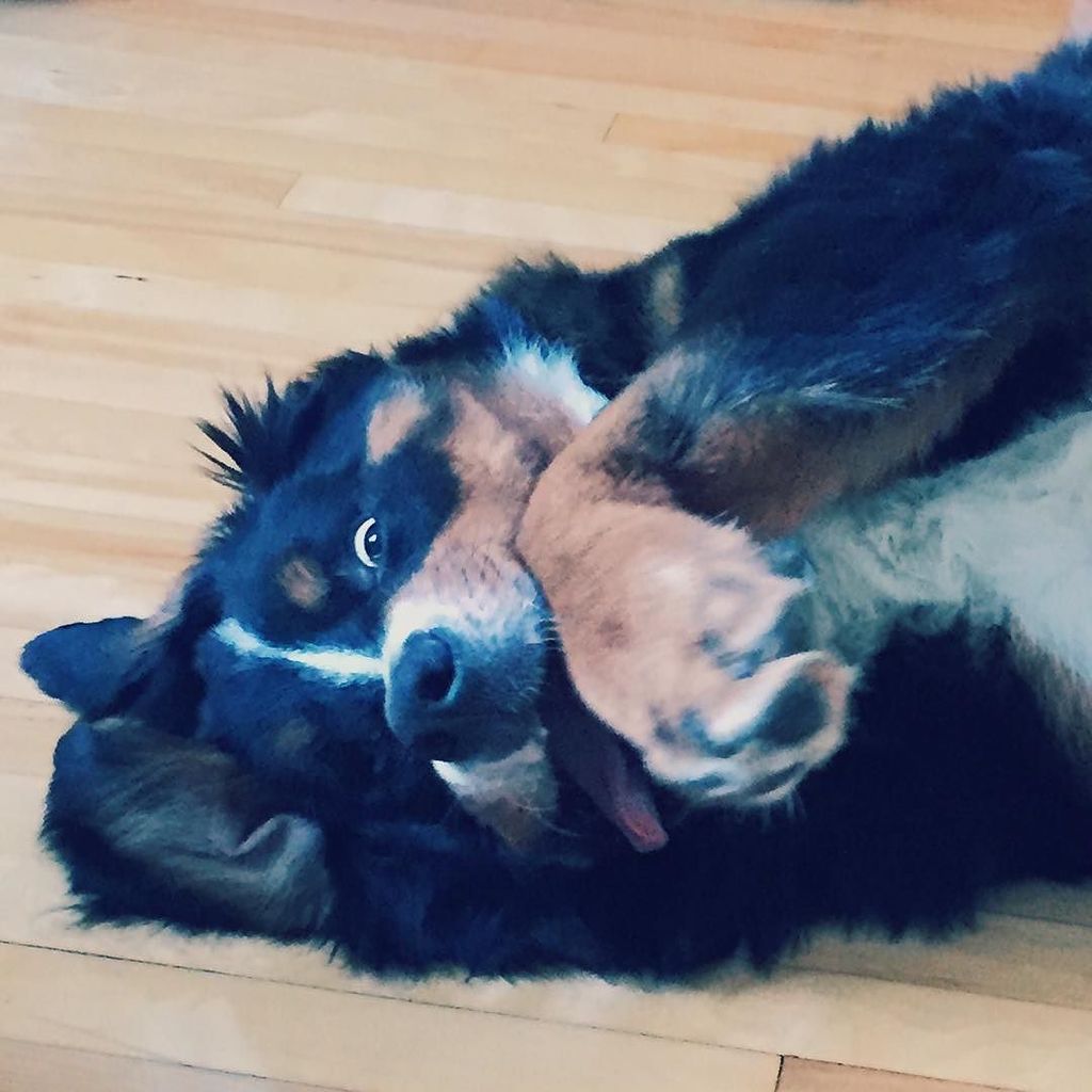 Eska! #bebechien ift.tt/1HnGmGV