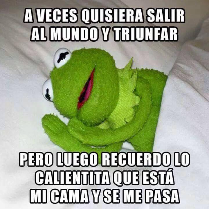 MejoresTwits's tweet photo. A veces... ¡Feliz Lunes! #FelizLunes https://t.co/kUqImTx0yE