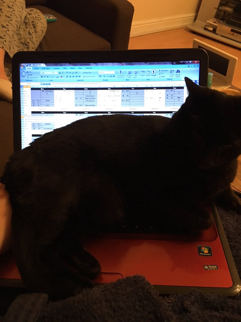 <a href="/BeccawadesonAFC/">Becca Wadeson</a> <a href="/Beccawellsxx/">beccaaa</a> &amp; Chelle, Karl &amp; James, there will be a small delay in December's DM rota 🙈