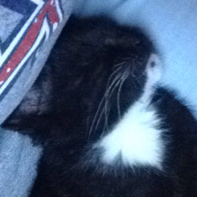 Sassy sleeping