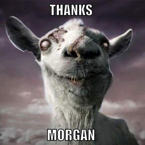 FilmSchlDropout's tweet photo. Bwahahahahaha!! #TabithaTheGoat #TheWalkingDead @tabithathegoat https://t.co/xPludJEwFv