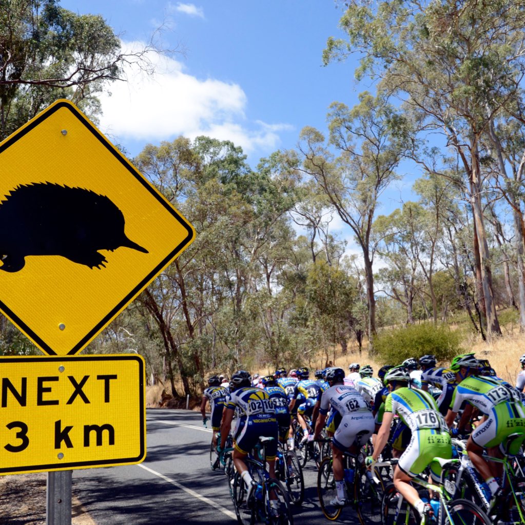 ventouro's tweet photo. Book now for the cycling spectacle @tourdownunder with #ventouro @southaustralia @BrandSouthAust 📷 @grahamwatson10 https://t.co/464VMTmNy1
