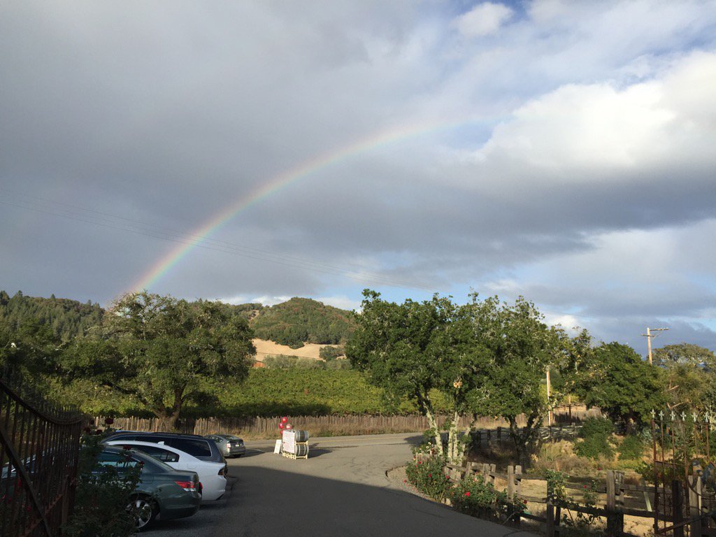 Rainbow! <a href="/mazzoccowinery/">Mazzocco Winery</a>  #WFA2015 <a href="/TheWineRoad/">Wine Road</a>