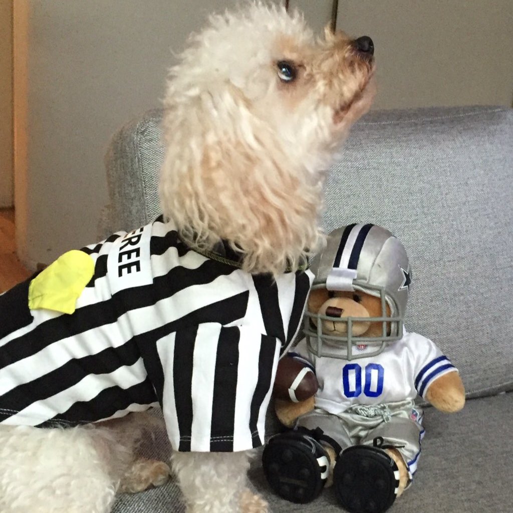 #SuperFanNFL #jerosintwitter #osoarqui 🏈🏉