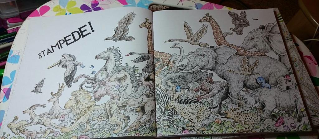 annahawk81's tweet image. #animorphia