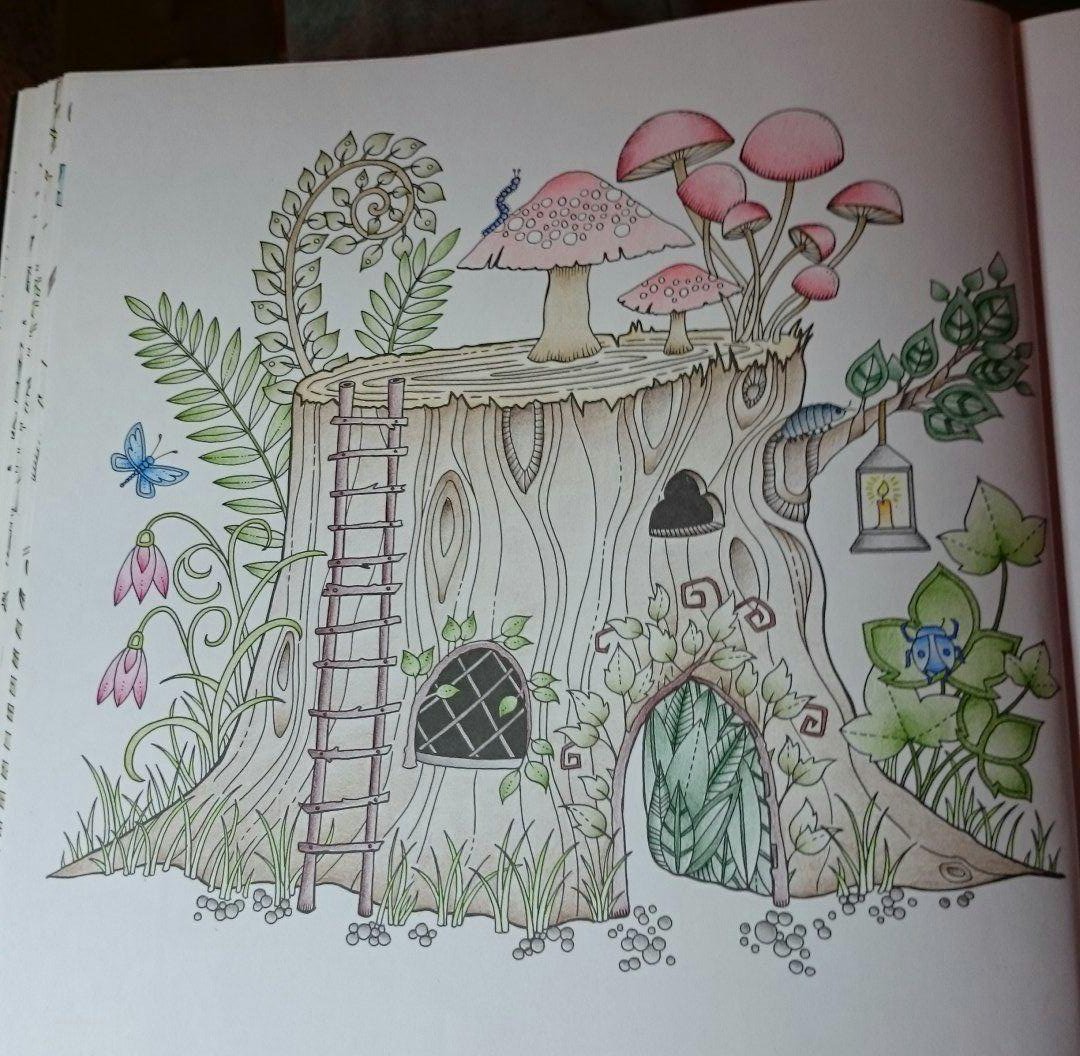 annahawk81's tweet image. #foretenchantee # enchantedforest