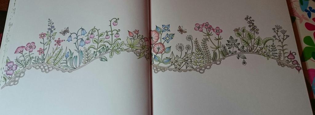 annahawk81's tweet image. #foretenchantee # enchantedforest