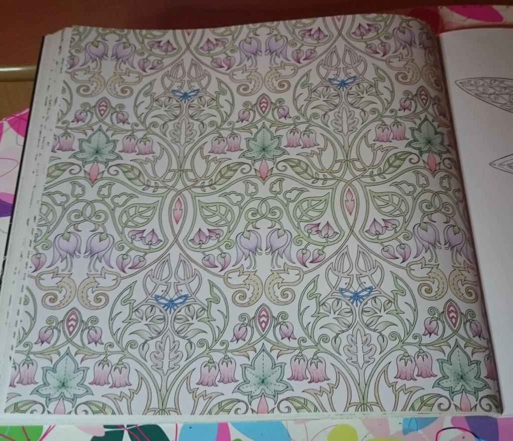 annahawk81's tweet image. #foretenchantee # enchantedforest