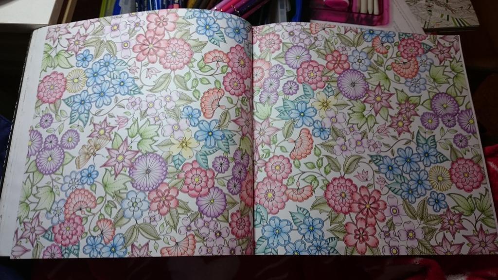 annahawk81's tweet image. #jardinsecret #secretgarden