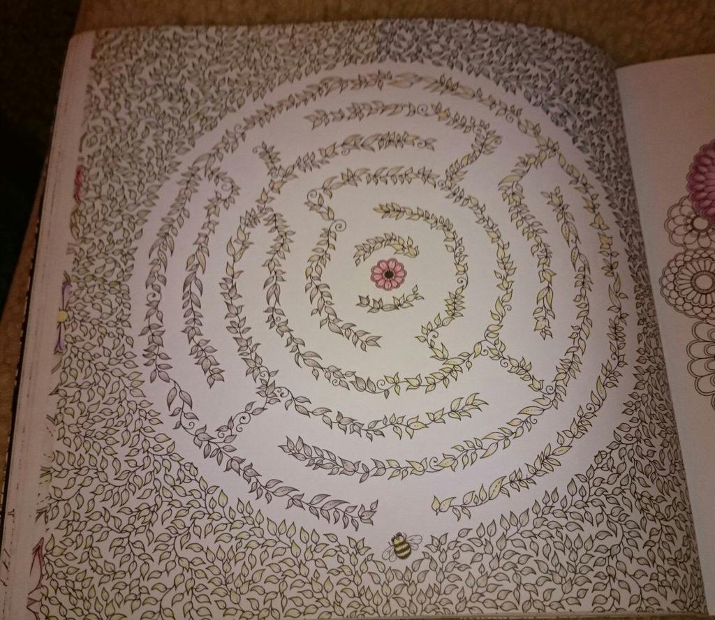 annahawk81's tweet image. #jardinsecret #secretgarden