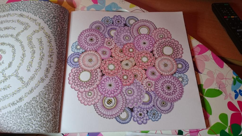 annahawk81's tweet image. #jardinsecret #secretgarden