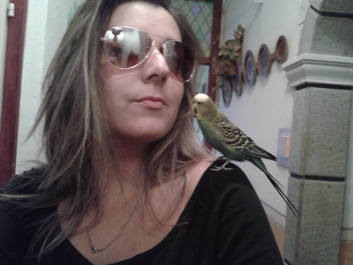 __Eniko__'s tweet photo. #WithMyBudgie Petike https://t.co/dSgaE5V8Bm