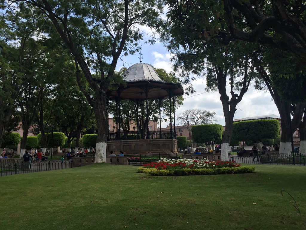 🇲🇽 Amor x México 🇲🇽 tweet media