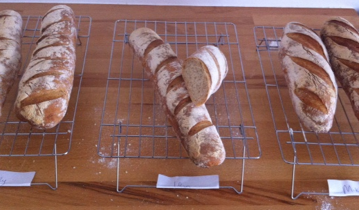 IliasKitchen's tweet image. French bread 17th November @merseacookerysc join me, we will be making #baguette #fougasse and #walnutbread