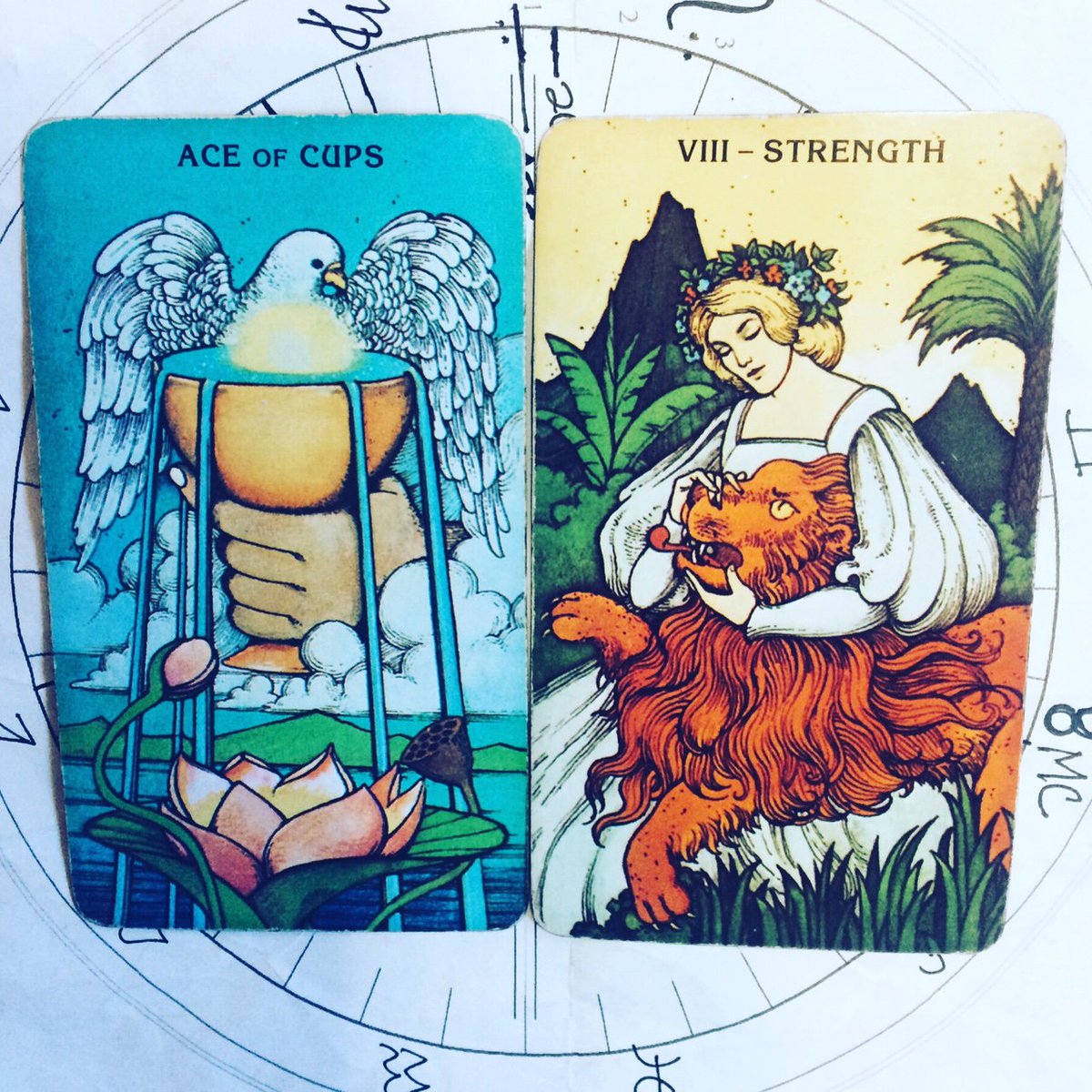 TatiannaTarot's tweet image. Daily #Tarot #Meditation II Saturday, November 8th || Ace of Cups + The Strength

#mindfulmagic #intuition #wellness