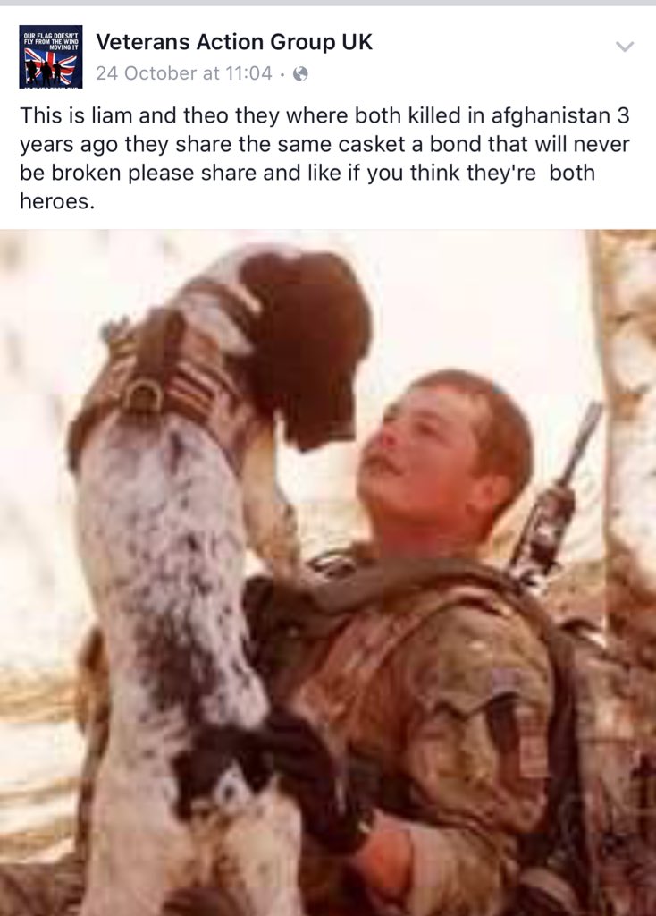 Britishchickx's tweet photo. Saw this on FB &amp; not ashamed to say I had a wobbly lip!#LestWeForget #RememberanceSunday #WeWillRememberThem X https://t.co/sRFk9Amo44