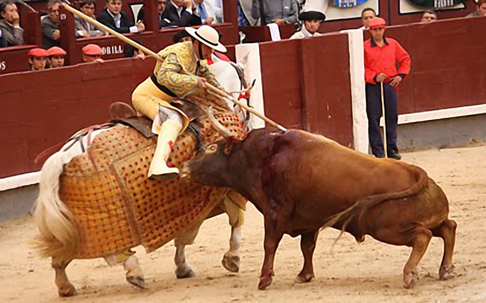 BASTAtauromakia's tweet photo. #SabesQueEresSádico Cuando te produce PLACER la CRUELDAD hacia un SER VIVO SINTIENTE #BASTAtauromaquia https://t.co/u38bZyAg0L